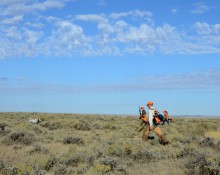 Hunters following dog