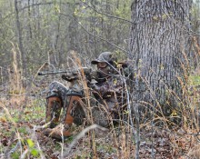 Turkey hunter by tree